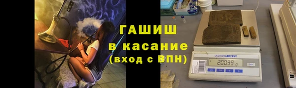 мдпв Кодинск
