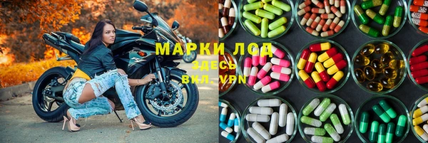 мдпв Кодинск
