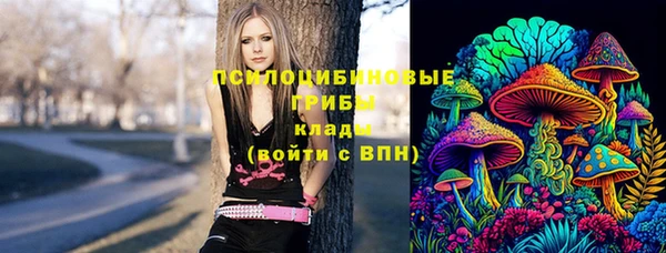 мдпв Кодинск