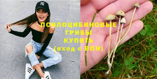 гидра Козельск