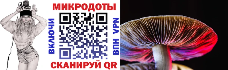 Галлюциногенные грибы мицелий  KRAKEN   Южа 